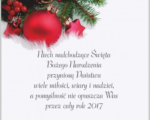 Wesołych Świąt i Szczęśliwego Nowego Roku!