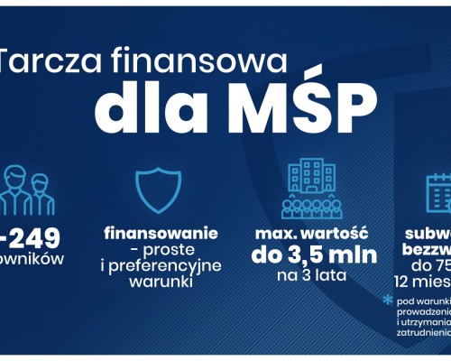 Założenia Tarczy Finansowej